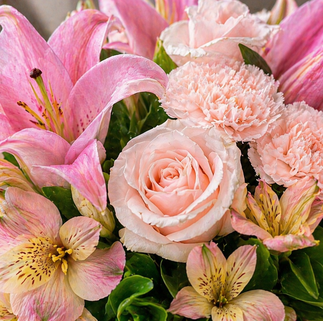 Blush Garden Elegance