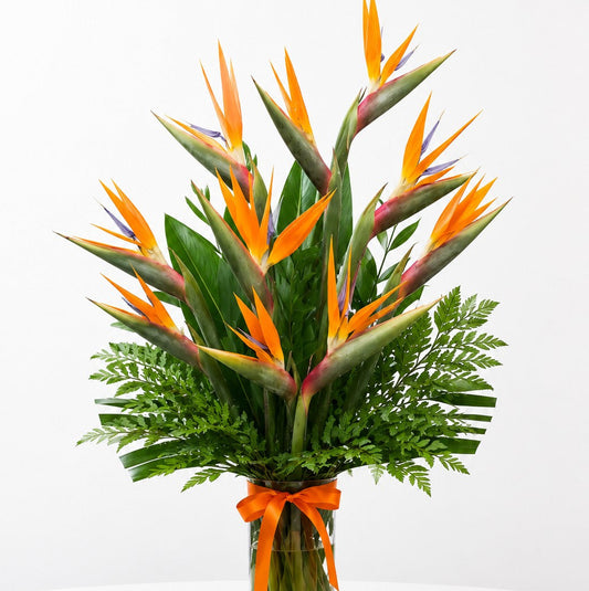 Bird of Paradise Elegance